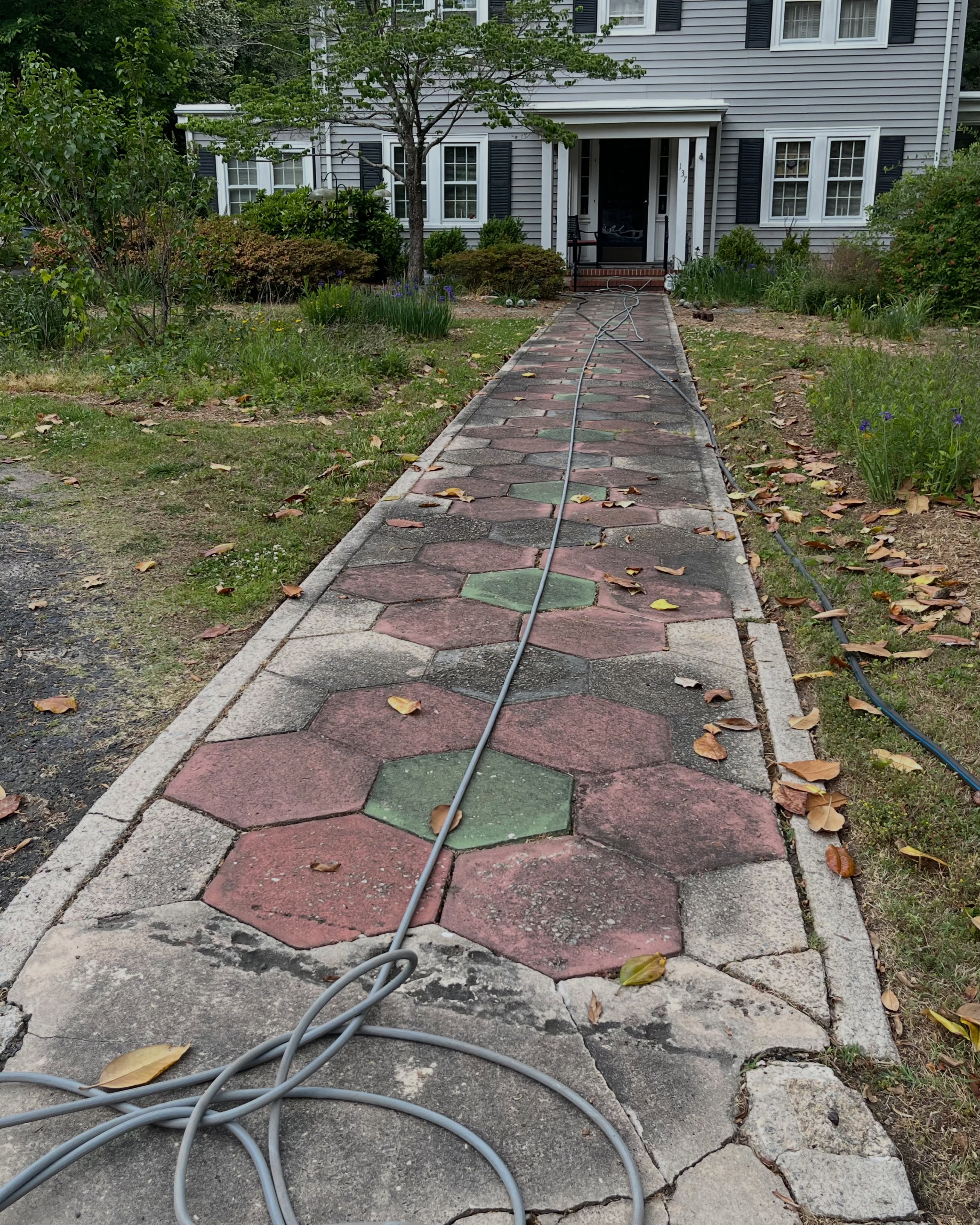 Walkway before pressure washing